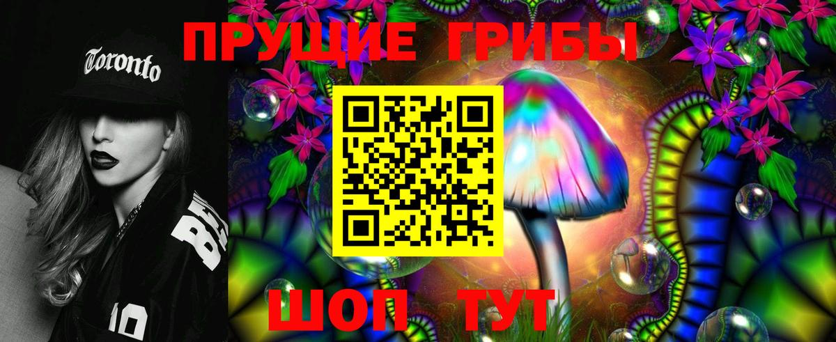 Галлюциногенные грибы прущие грибы Тимашёвск
