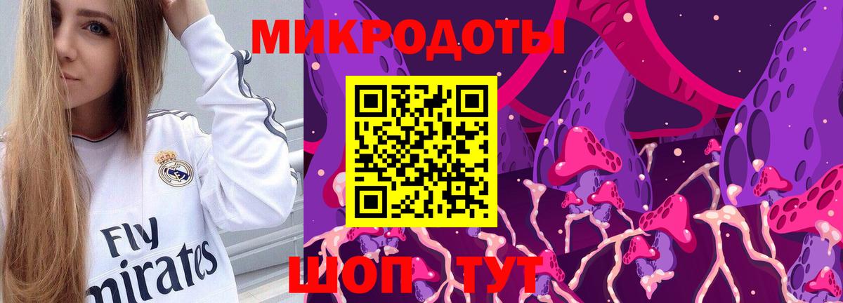 Тимашёвск  Псилоцибиновые грибы мухоморы  Вход с VPN 